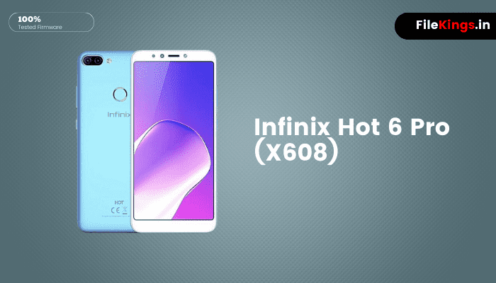 Infinix Hot 6 Pro (X608)