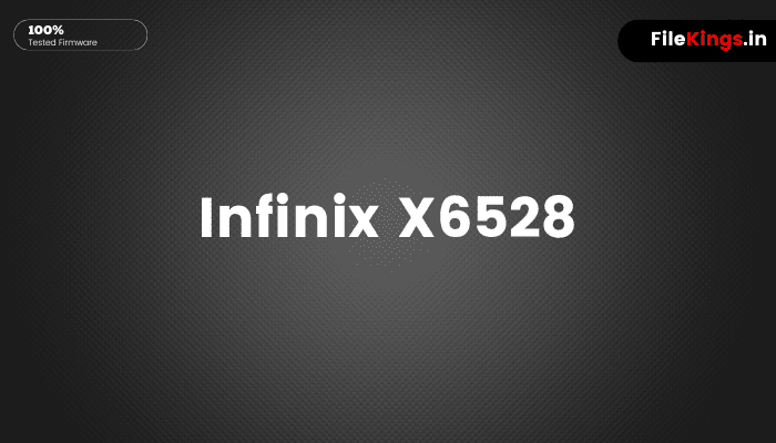 Infinix X6528