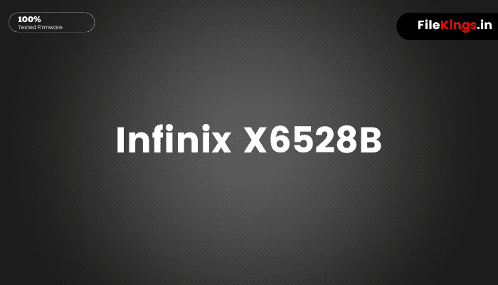 Infinix X6528B